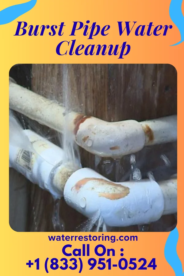 Burst Pipe Water Cleanup in Kensington, CT