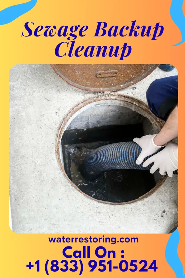 Sewage Backup Cleanup in Kensington, CT