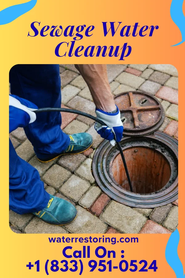 Sewage Water Cleanup in Kensington, CT